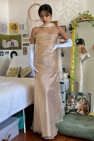 Elegant Sheath Spaghetti Straps Champagne Long Prom Dress with Scarf