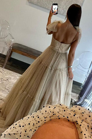Stunning A-Line Tie Straps Zipper Back Long Tulle Prom Dress